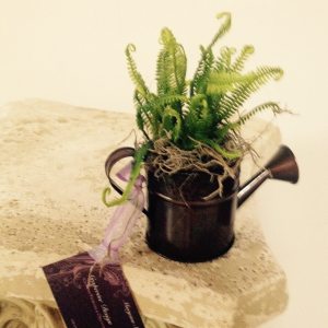 11705125_1607221162886240_7244981199748103920_n