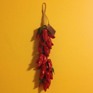 11870842_1616732955268394_8146538705044430692_n