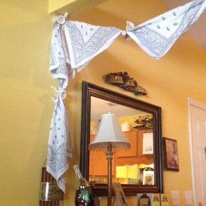 11987001_1626285900979766_1753915026408825079_n