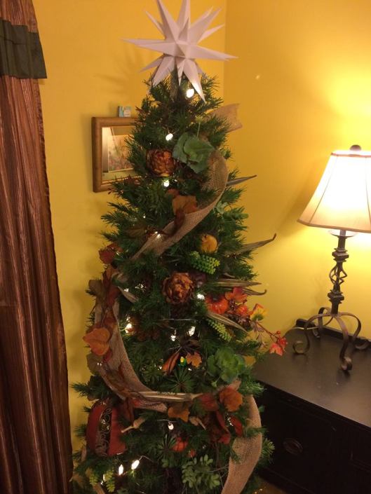 23517856_1973540962920923_2641461595599274246_n