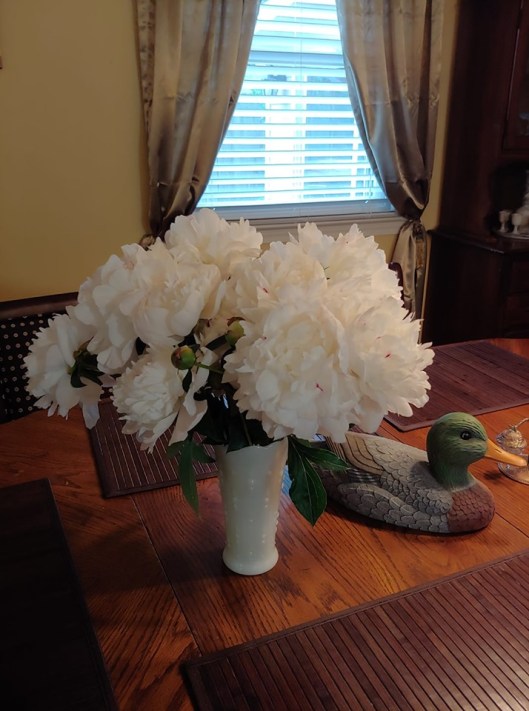 58825831_2294900877451595_1204223896820121600_n